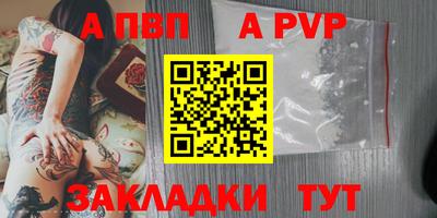 тгк Кингисепп