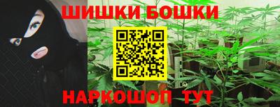 сатива Кандалакша